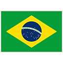 Português (Brasil)
